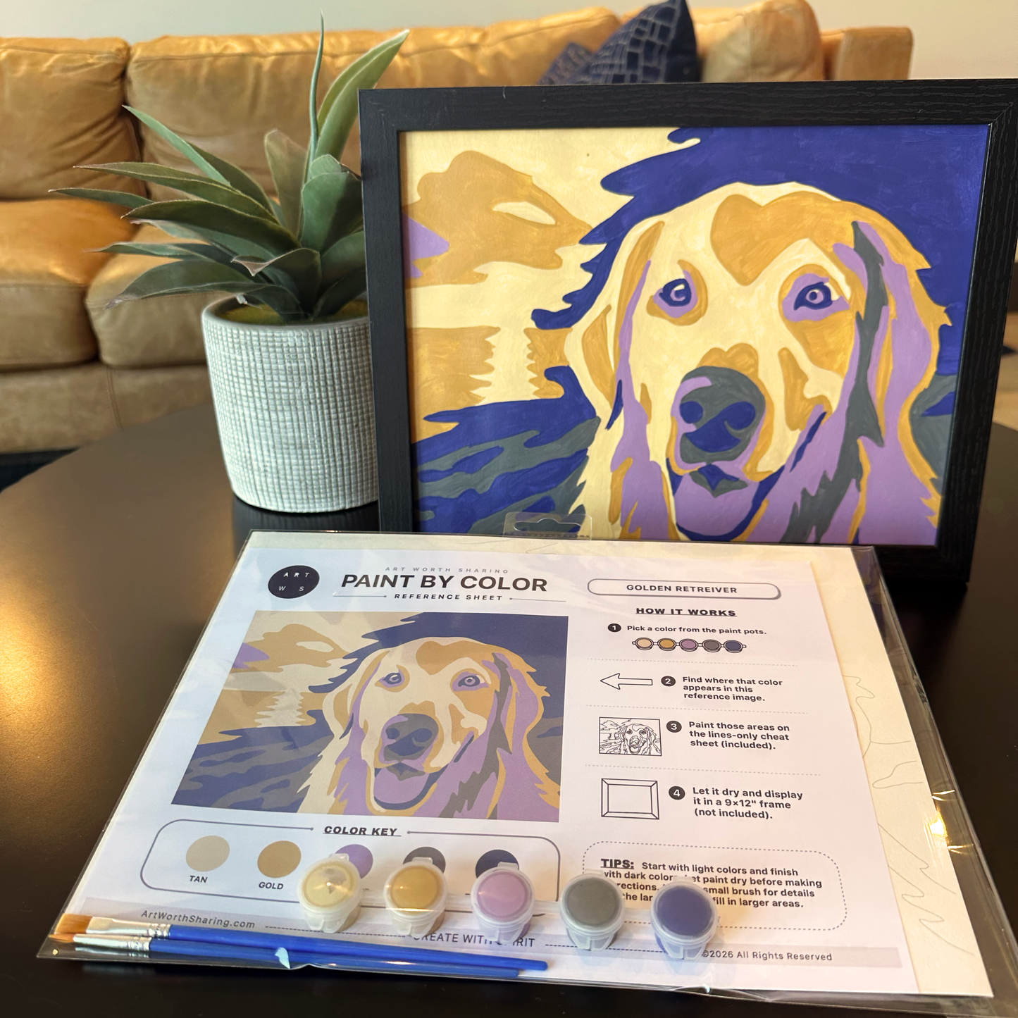 Golden Retriever | Paint by Color Kit