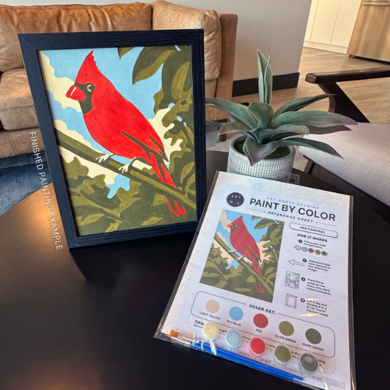 Red Cardinal | Paint by Color Kit